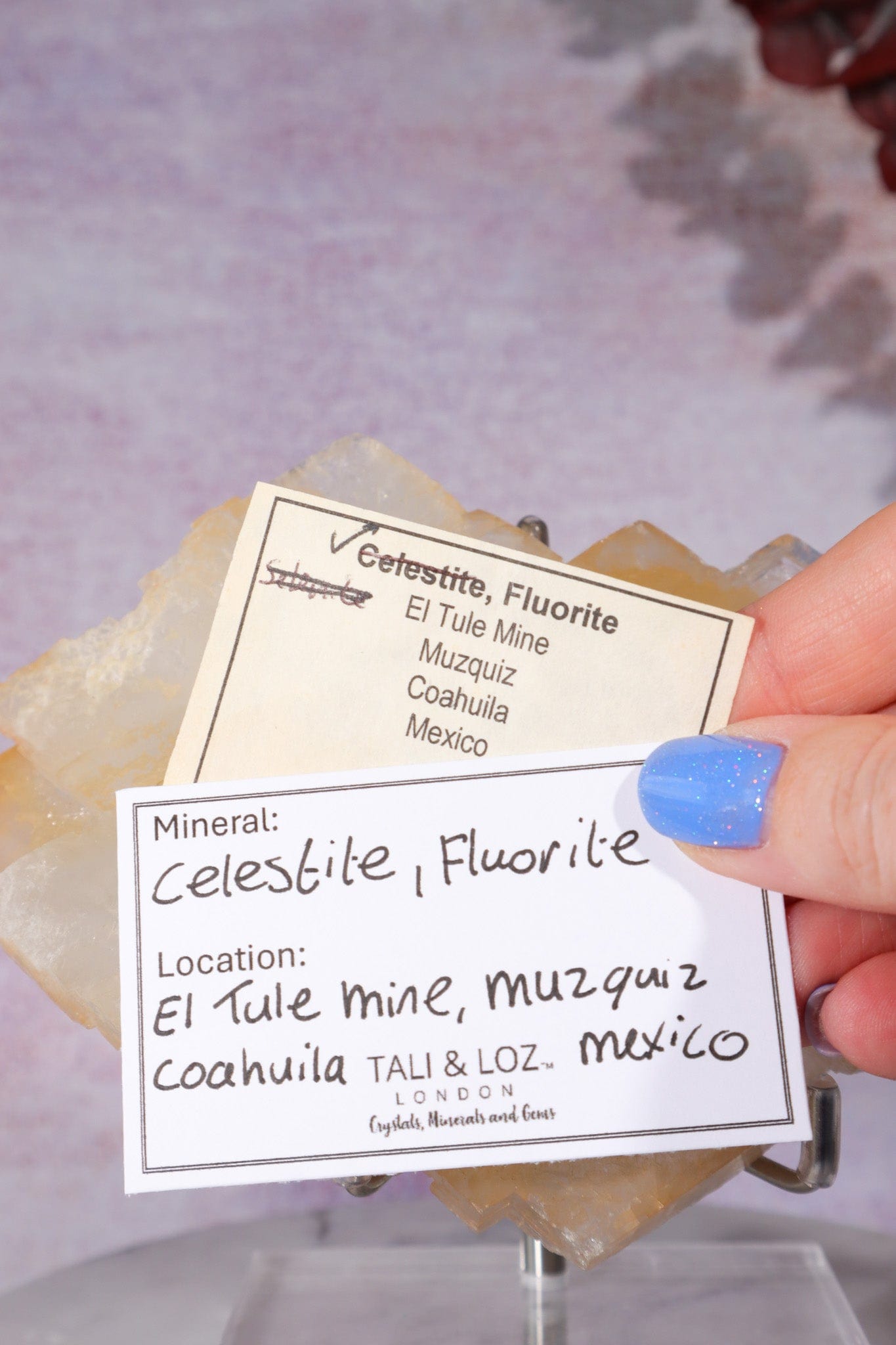 Celestite Fluorite Specimen 16cm | Mexico Specimen Tali & Loz Crystals