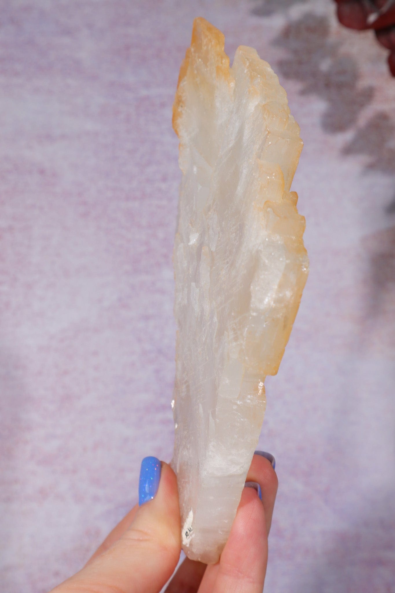 Celestite Fluorite Specimen 16cm | Mexico Specimen Tali & Loz Crystals