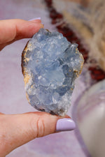 Celestite Geode | 150–250g | Madagascar Mineral Specimen Tali & Loz Crystals