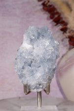 Celestite Geode | 260–350g | Madagascar Mineral Specimen Tali & Loz Crystals
