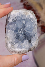 Celestite Geode | 260–350g | Madagascar Mineral Specimen Tali & Loz Crystals