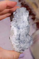 Celestite Geode | 260–350g | Madagascar Mineral Specimen Tali & Loz Crystals