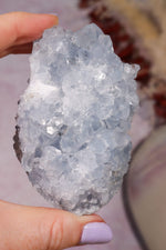 Celestite Geode | 260–350g | Madagascar Mineral Specimen Tali & Loz Crystals
