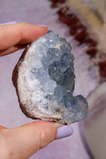 Celestite Geode | 260–350g | Madagascar Mineral Specimen Tali & Loz Crystals