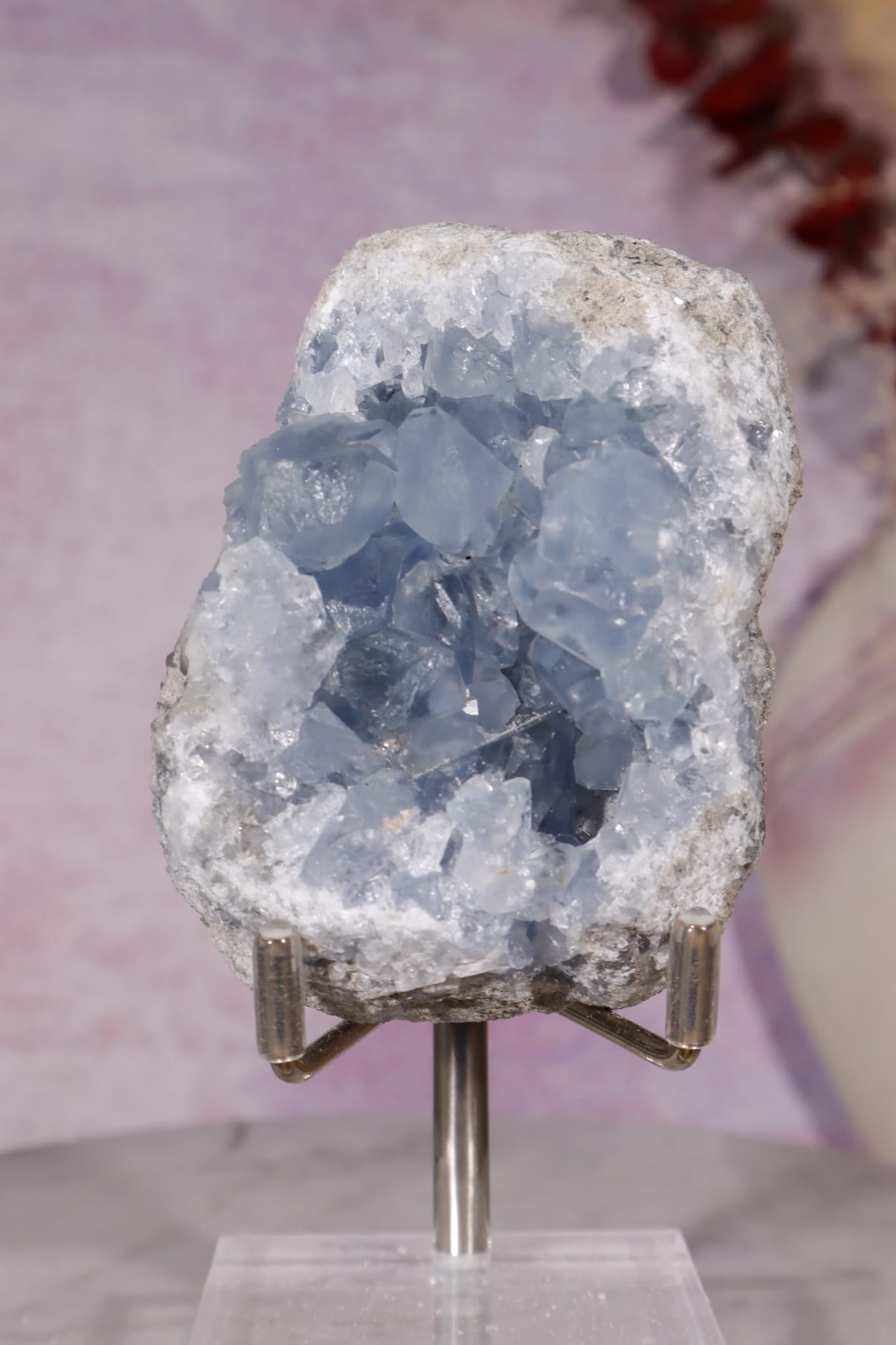 Celestite Geode | 260–350g | Madagascar Mineral Specimen Tali & Loz Crystals