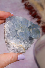 Celestite Geode | 370–400g | Madagascar Mineral Specimen Tali & Loz Crystals
