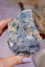 Celestite Geode | 370–400g | Madagascar Mineral Specimen Tali & Loz Crystals