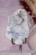 Celestite Geode (Light) | 150–190g | Madagascar Mineral Specimen Tali & Loz Crystals