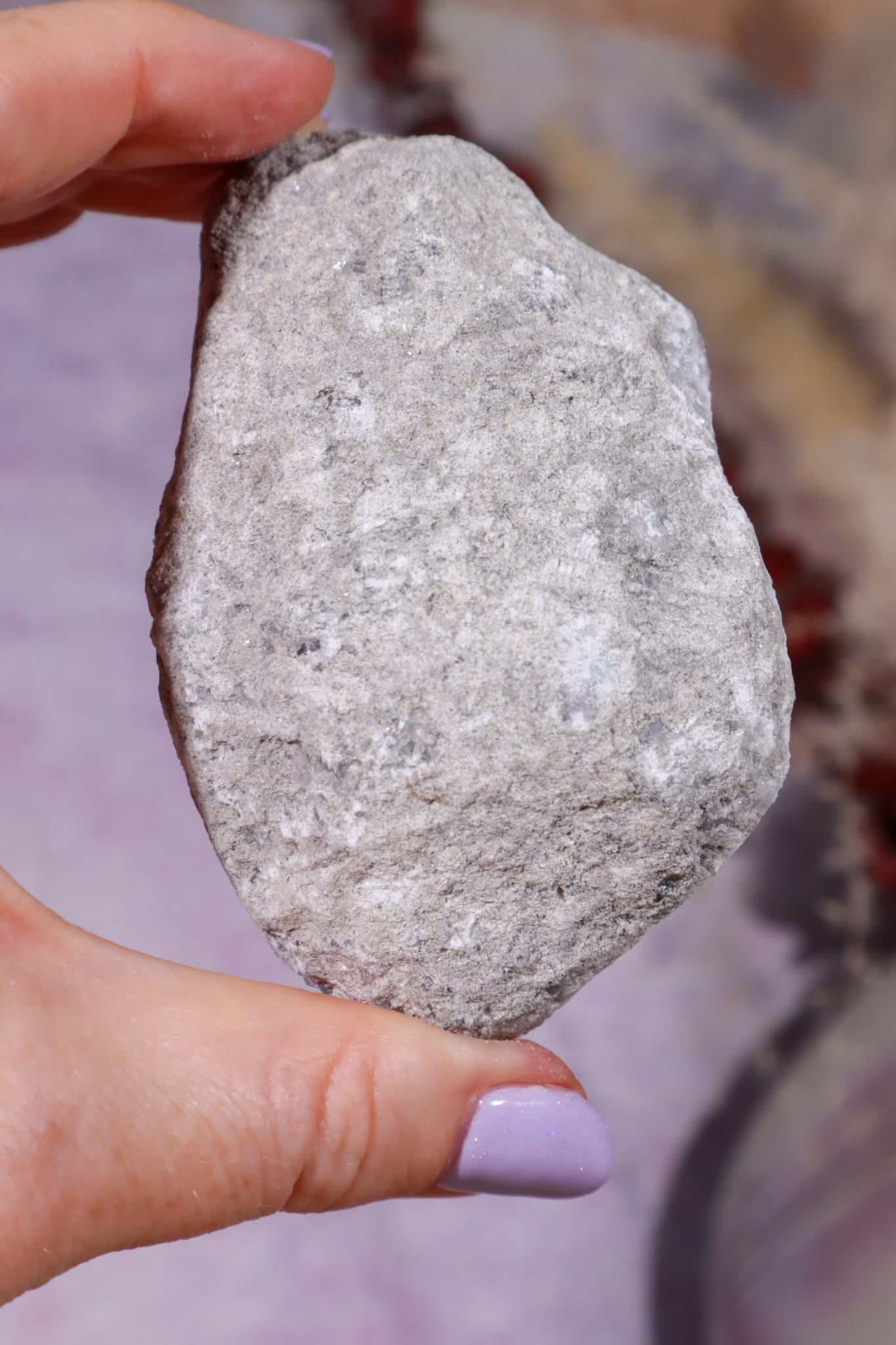 Celestite Geode (Light) | 150–190g | Madagascar Mineral Specimen Tali & Loz Crystals