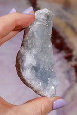 Celestite Geode (Light) | 150–190g | Madagascar Mineral Specimen Tali & Loz Crystals