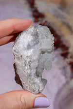 Celestite Geode (Light) | 150–190g | Madagascar Mineral Specimen Tali & Loz Crystals