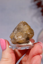 Cerussite Specimen 55g Minerals Tali & Loz Crystals