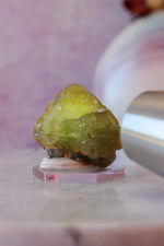 Cerussite Specimen | 55g | Namibia Minerals Tali & Loz Crystals