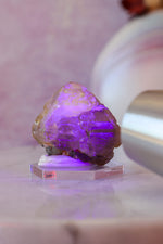 Cerussite Specimen | 55g | Namibia Minerals Tali & Loz Crystals