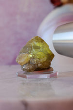 Cerussite Specimen | 55g | Namibia Minerals Tali & Loz Crystals
