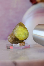 Cerussite Specimen | 55g | Namibia Minerals Tali & Loz Crystals