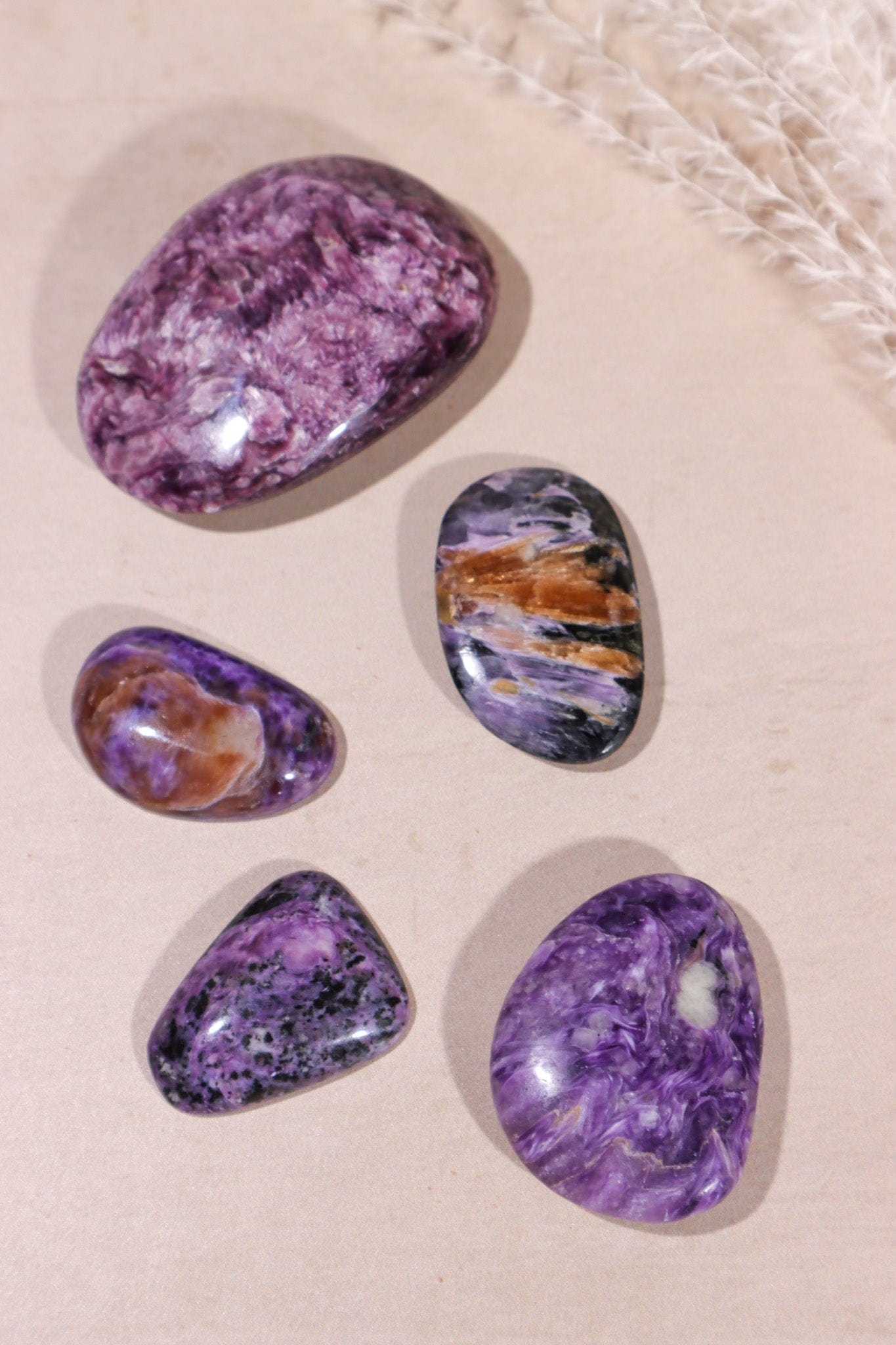 Charoite Cabochon 7gr Cabochons Tali & Loz Crystals