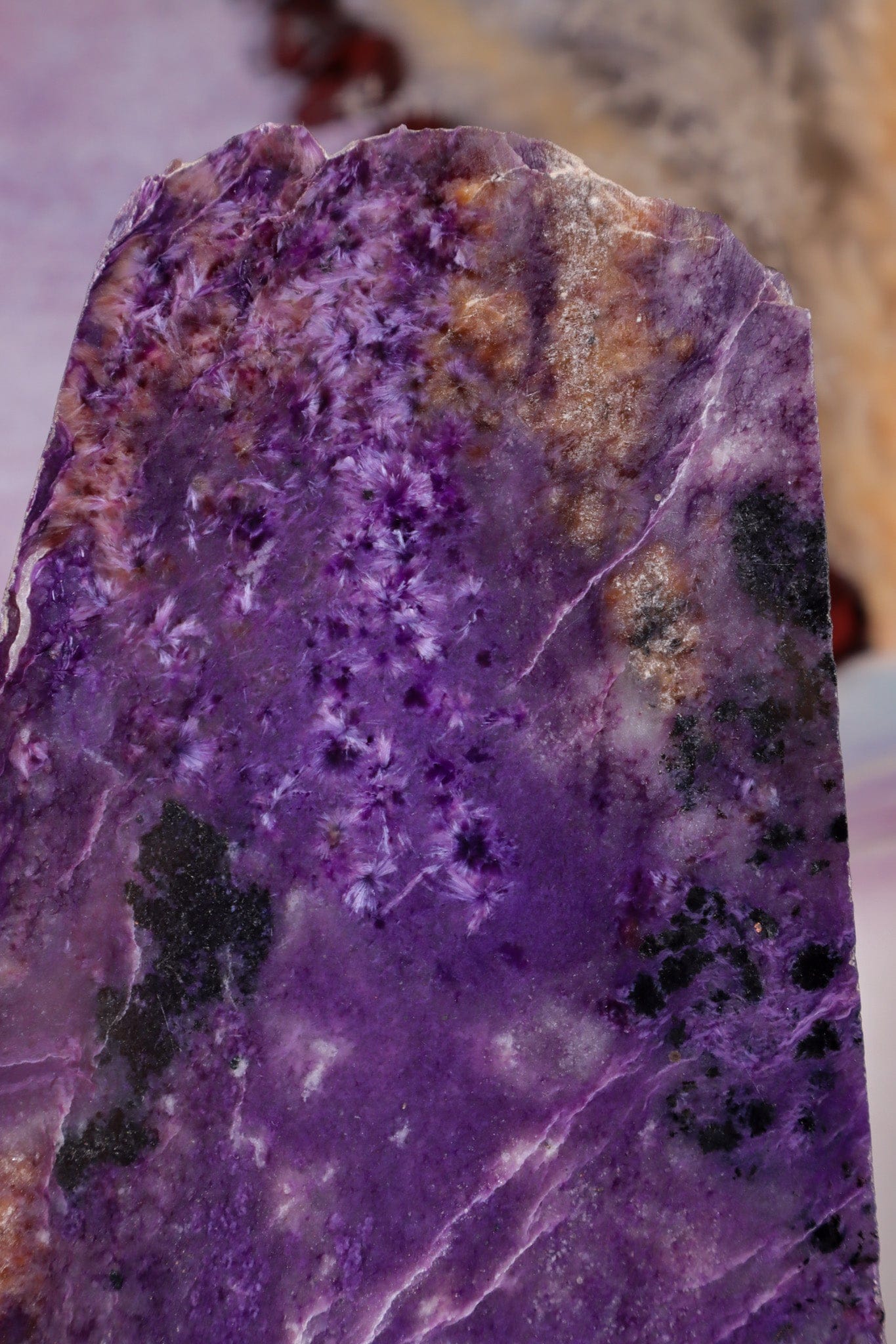 Charoite Slice 14.8cm, Russia Slices Tali & Loz Crystals