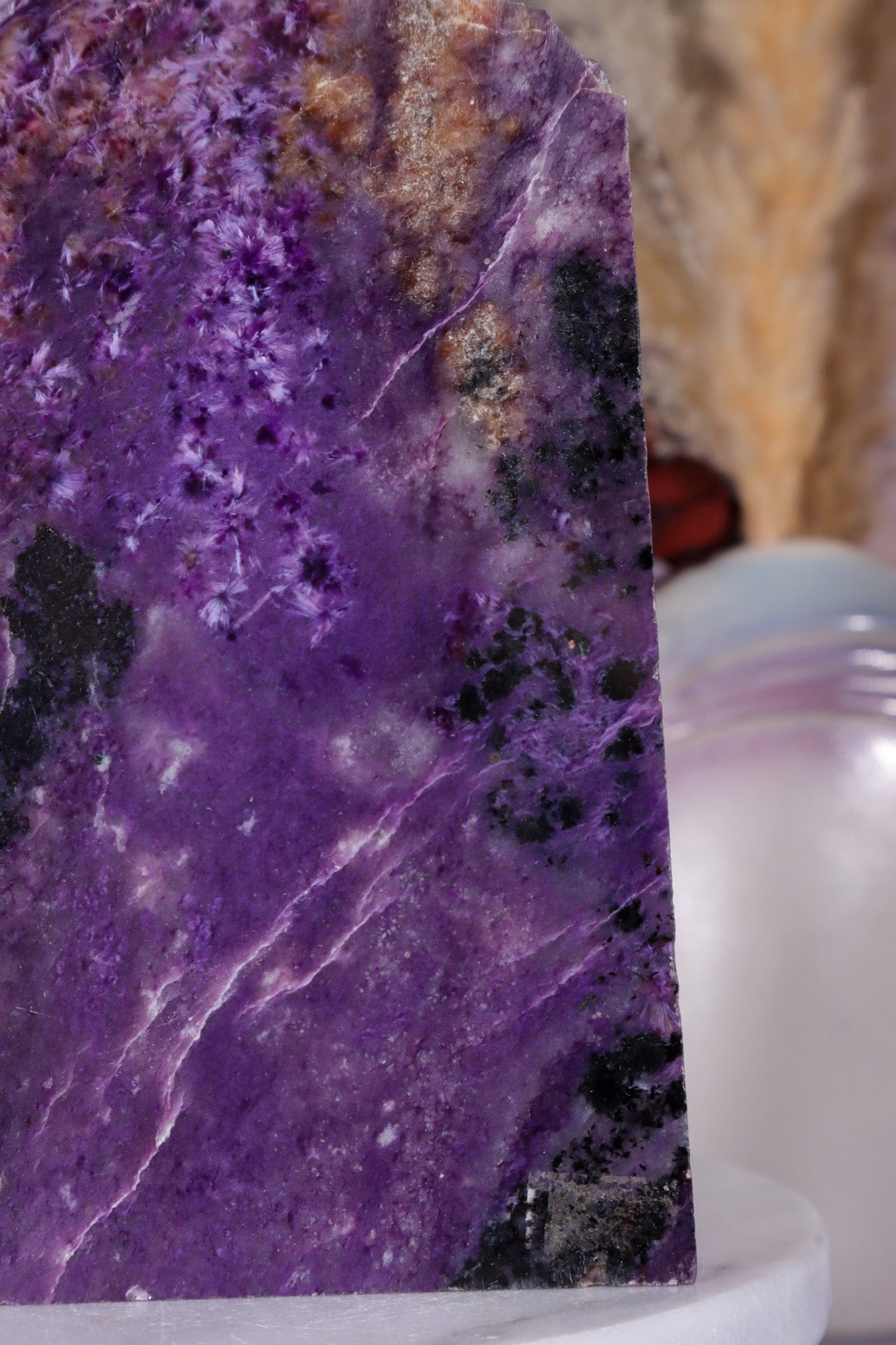 Charoite Slice 14.8cm, Russia Slices Tali & Loz Crystals