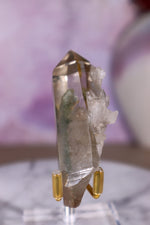 Chlorite in Quartz Point | 7.4 cm | Brazil Quartz Tali & Loz Crystals
