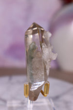 Chlorite in Quartz Point | 7.4 cm | Brazil Quartz Tali & Loz Crystals