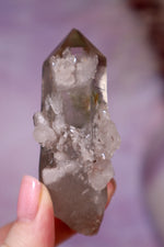 Chlorite in Quartz Point | 7.4 cm | Brazil Quartz Tali & Loz Crystals
