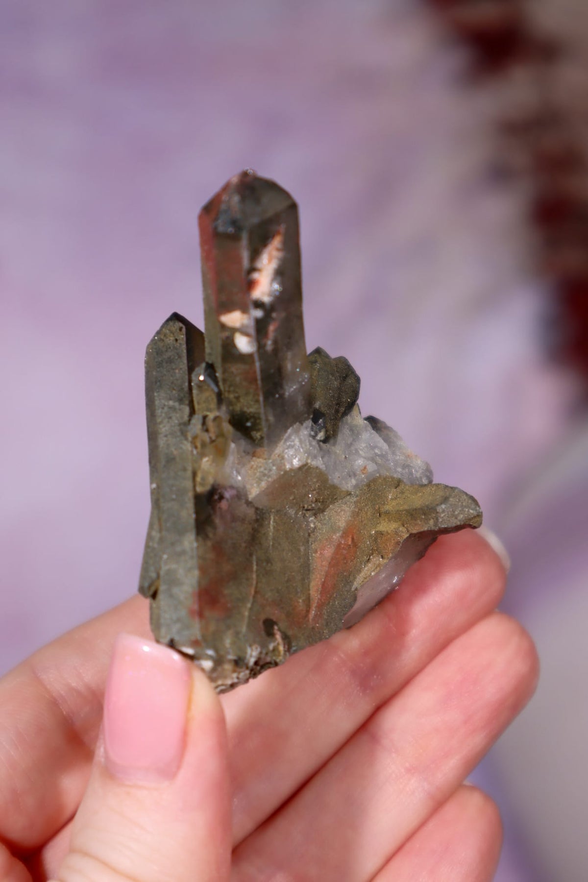 Chlorite in Quartz with Hematite Cluster | 6.5cm | Pakistan Points Tali & Loz Crystals