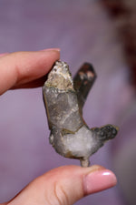 Chlorite in Quartz with Hematite Cluster | 6.5cm | Pakistan Points Tali & Loz Crystals