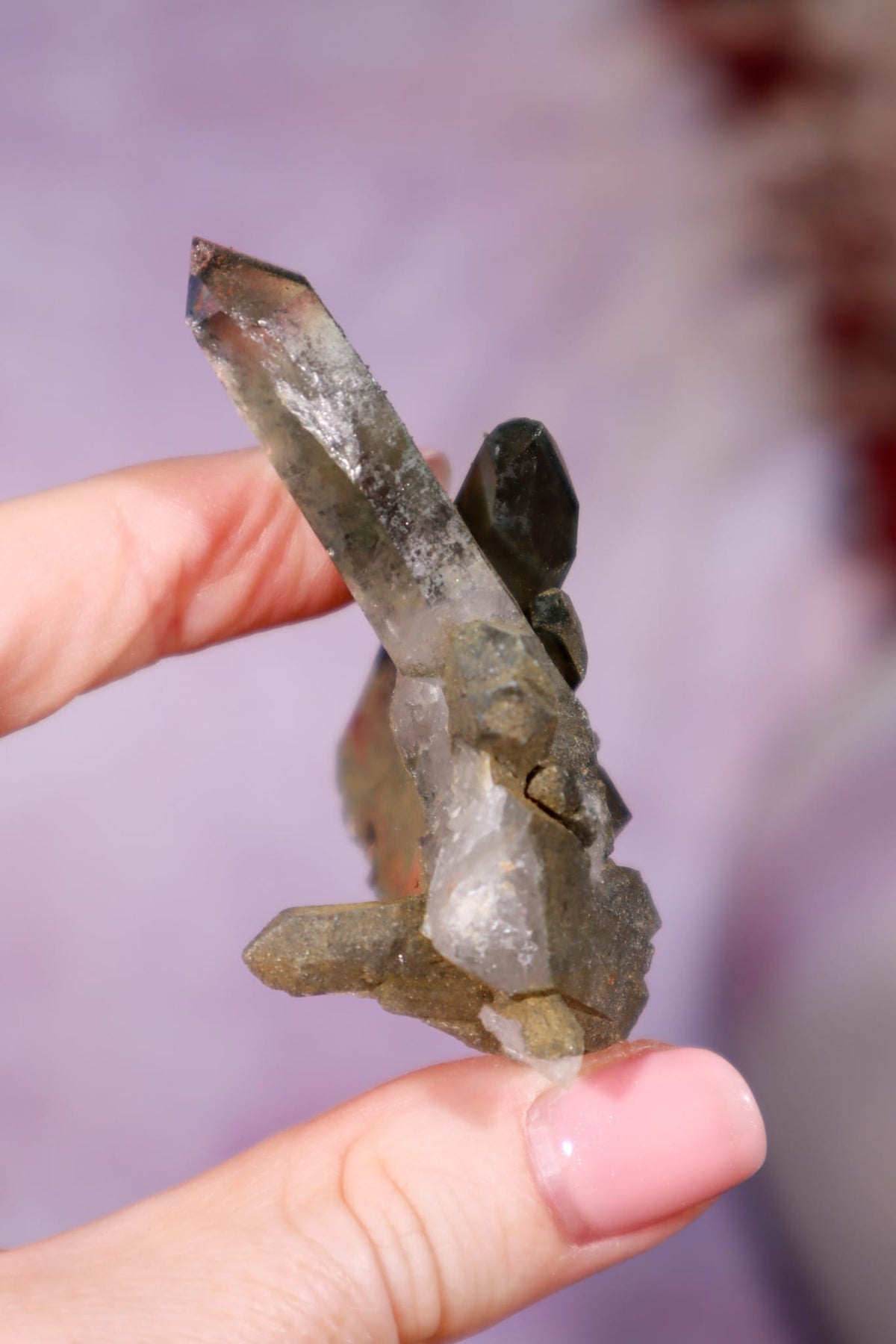 Chlorite in Quartz with Hematite Cluster | 6.5cm | Pakistan Points Tali & Loz Crystals
