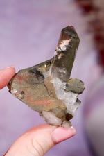 Chlorite in Quartz with Hematite Cluster | 6.5cm | Pakistan Points Tali & Loz Crystals