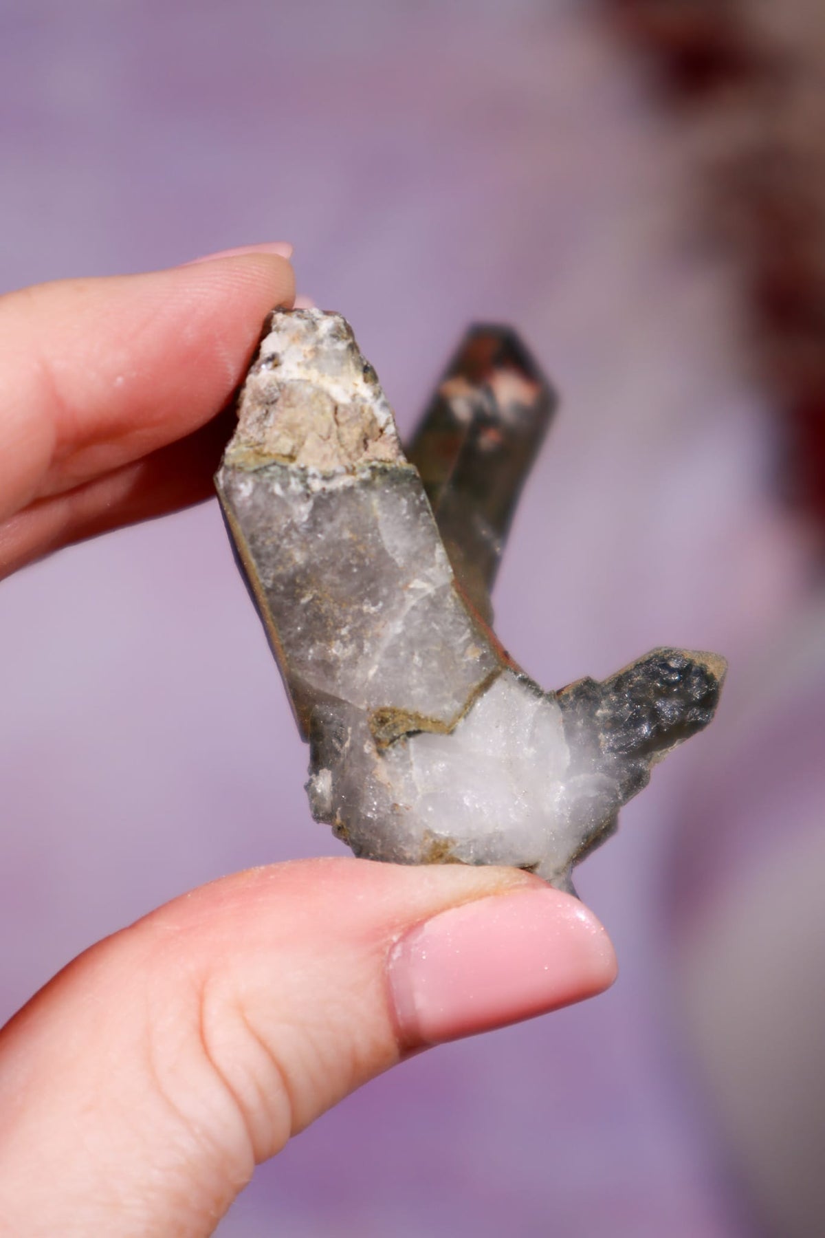 Chlorite in Quartz with Hematite Cluster | 6.5cm | Pakistan Points Tali & Loz Crystals