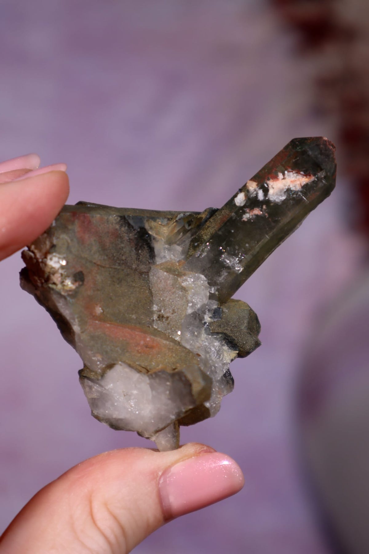 Chlorite in Quartz with Hematite Cluster | 6.5cm | Pakistan Points Tali & Loz Crystals