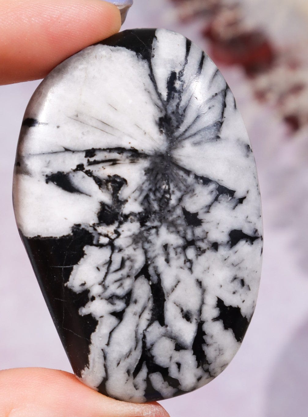 Chrysanthemum Palmstone 5.7cm Palm Stones Tali & Loz Crystals