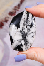 Chrysanthemum Palmstone 5.7cm Palm Stones Tali & Loz Crystals