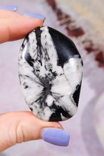 Chrysanthemum Palmstone 5.7cm Palm Stones Tali & Loz Crystals