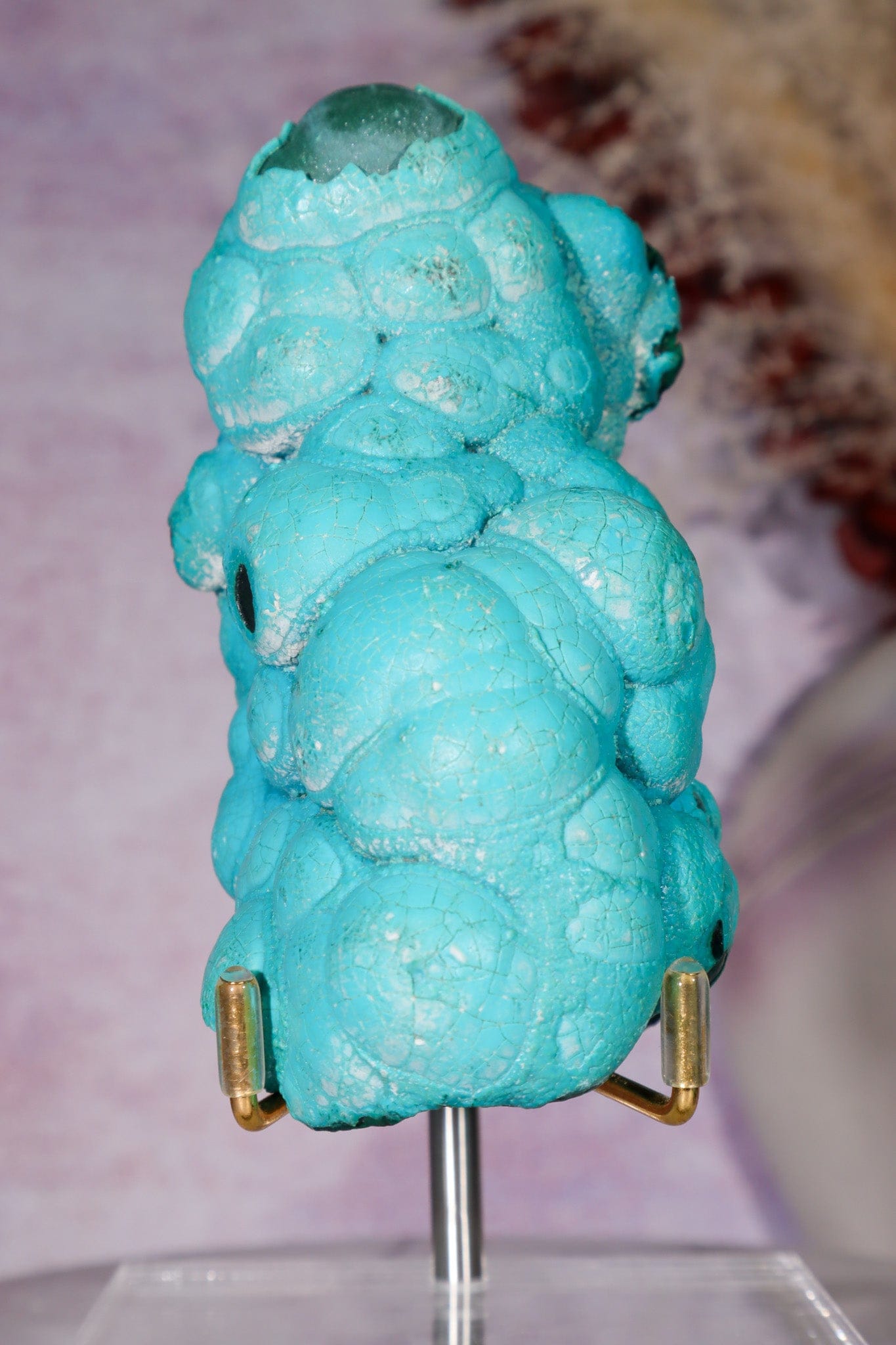 Chrysocolla Botryoidal Specimen 452gr, Zaire Specimen Tali & Loz Crystals