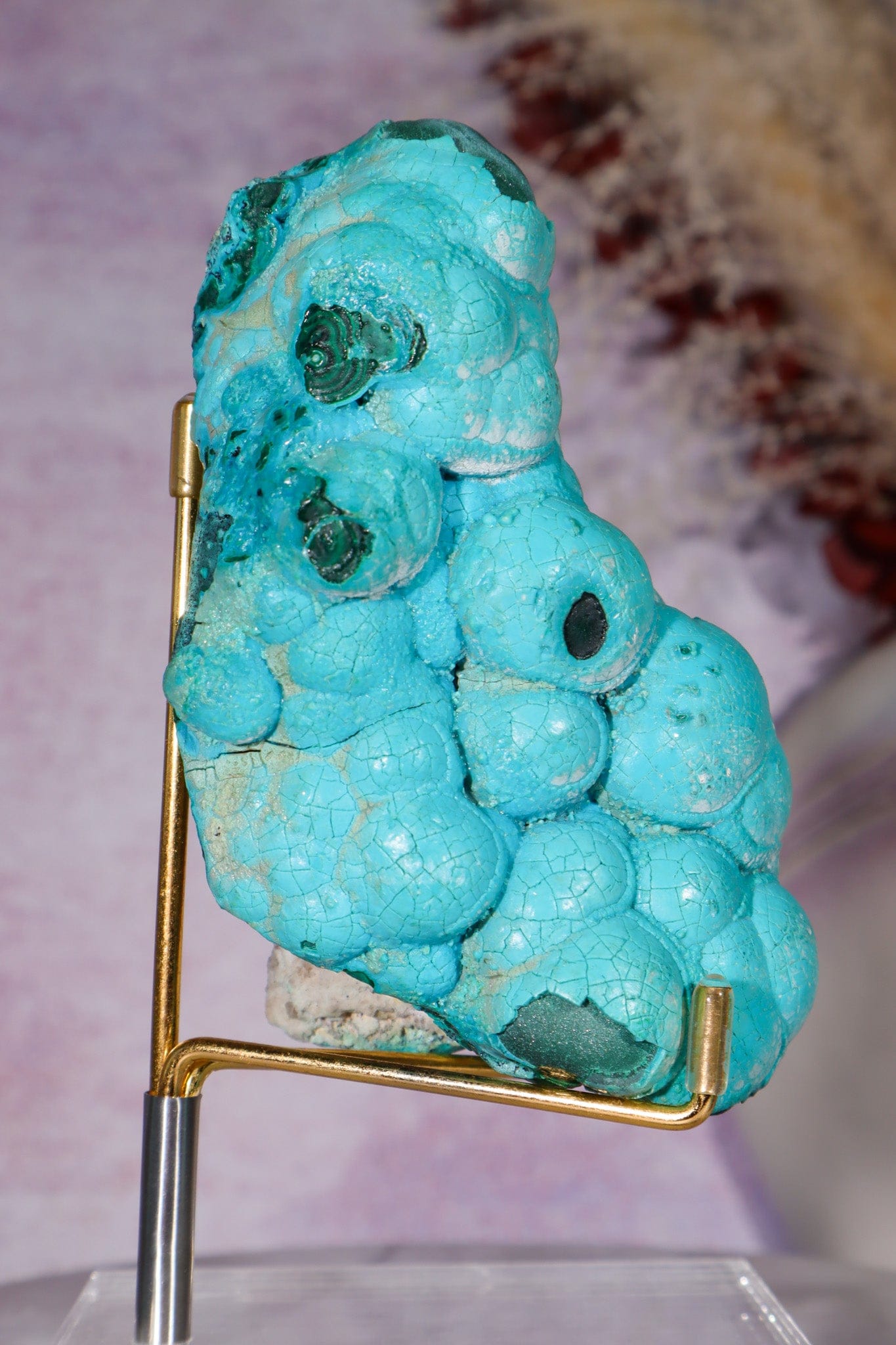 Chrysocolla Botryoidal Specimen 452gr, Zaire Specimen Tali & Loz Crystals