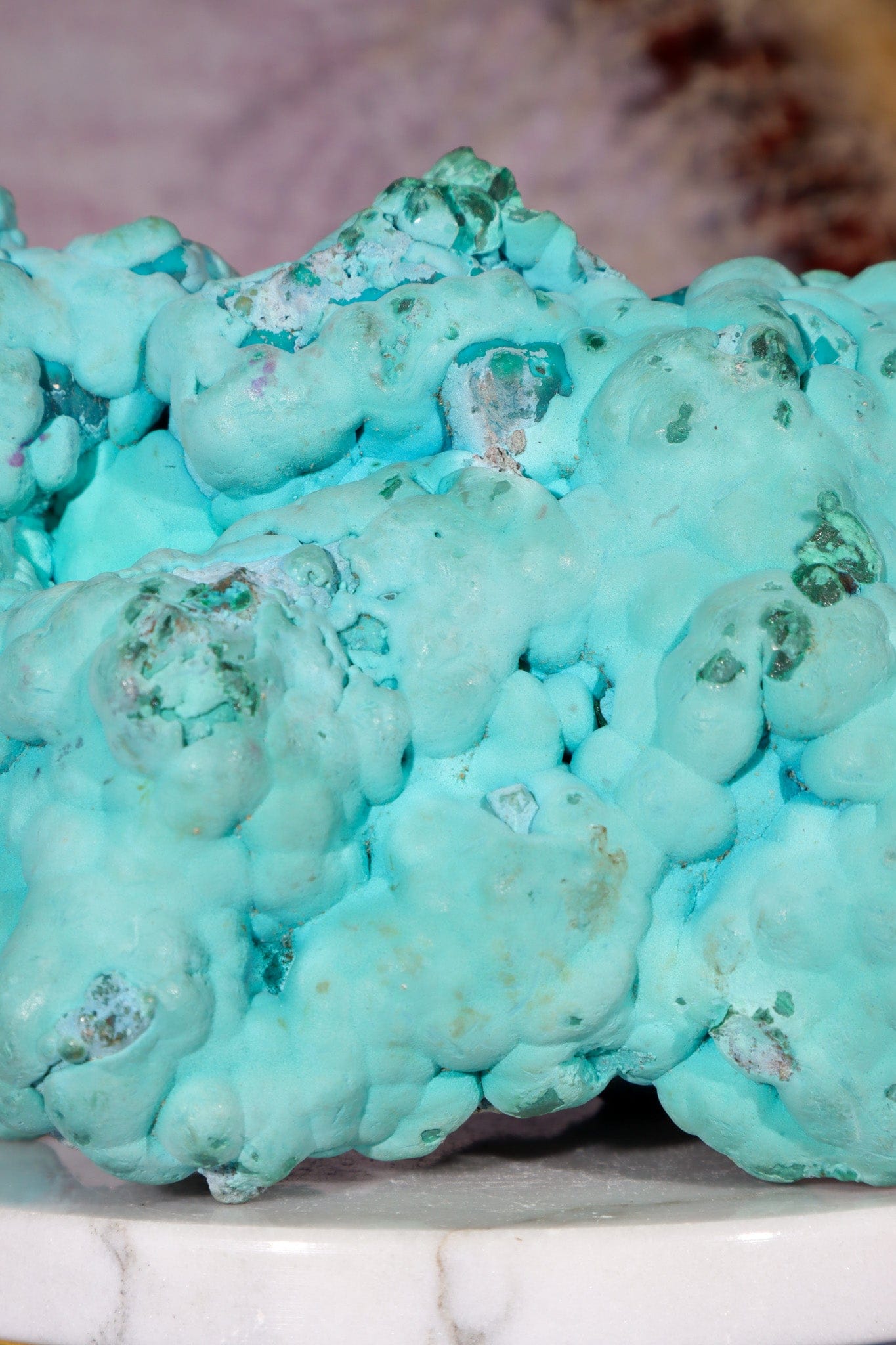 Chrysocolla on top of Malachite Specimen 1.1KG, Zaire Specimen Tali & Loz Crystals