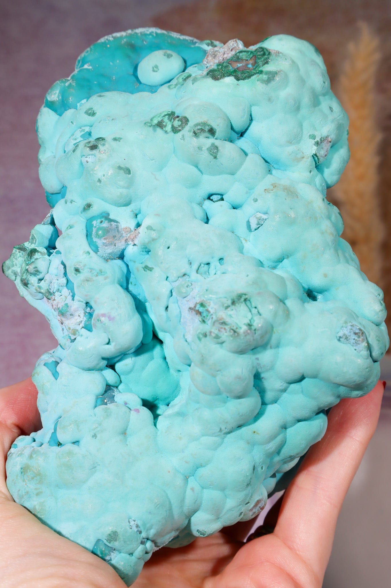 Chrysocolla on top of Malachite Specimen 1.1KG, Zaire Specimen Tali & Loz Crystals
