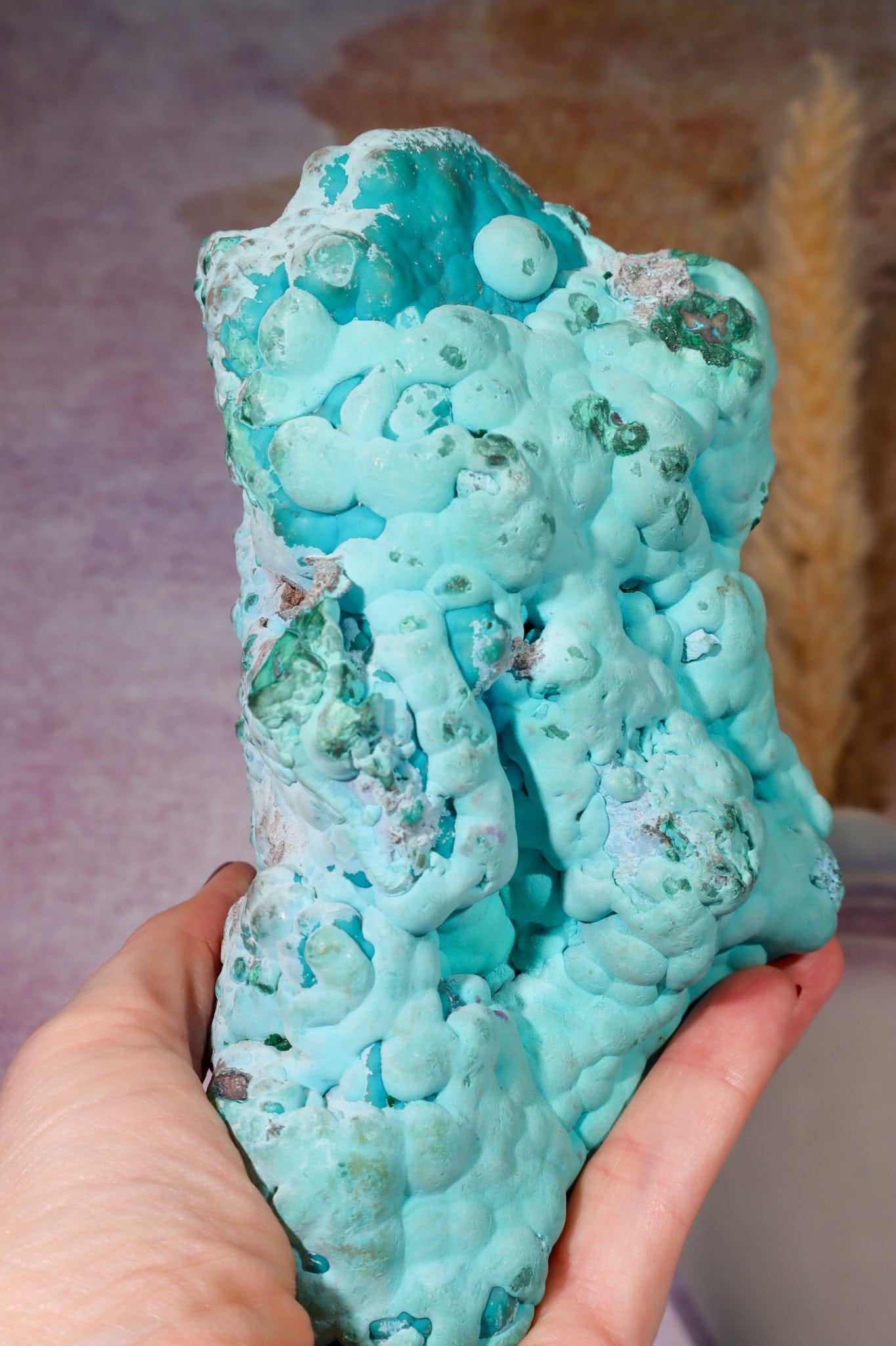 Chrysocolla on top of Malachite Specimen 1.1KG, Zaire Specimen Tali & Loz Crystals