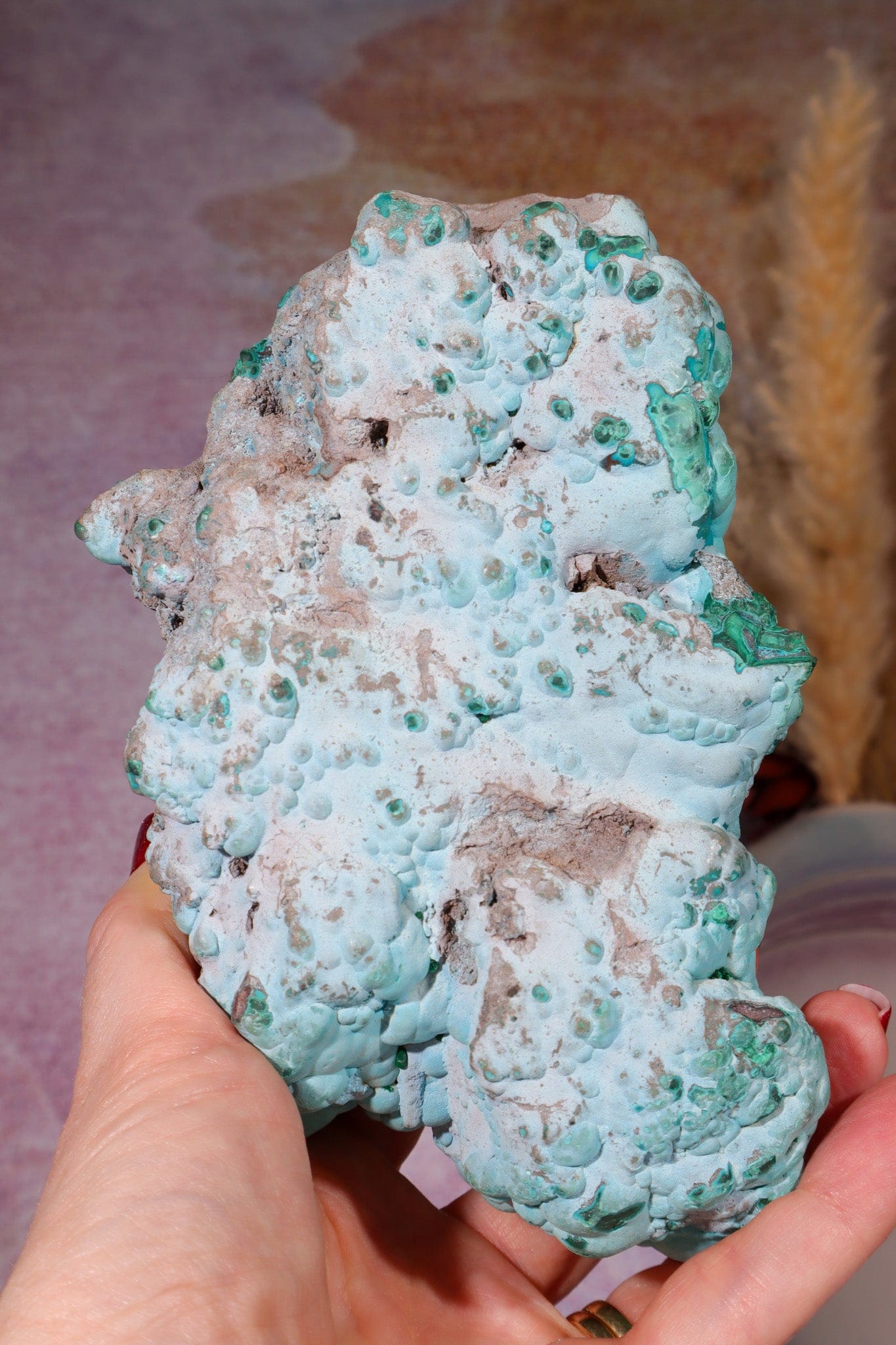 Chrysocolla on top of Malachite Specimen 1.1KG, Zaire Specimen Tali & Loz Crystals