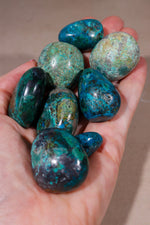 Chrysocolla Tumblestones | 28-36mm | Peru Tumblestones Tali & Loz Crystals