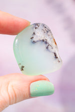 Chrysoprase Freeform Slice 3.3cm Slices Tali & Loz Crystals