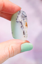 Chrysoprase Freeform Slice 3.3cm Slices Tali & Loz Crystals