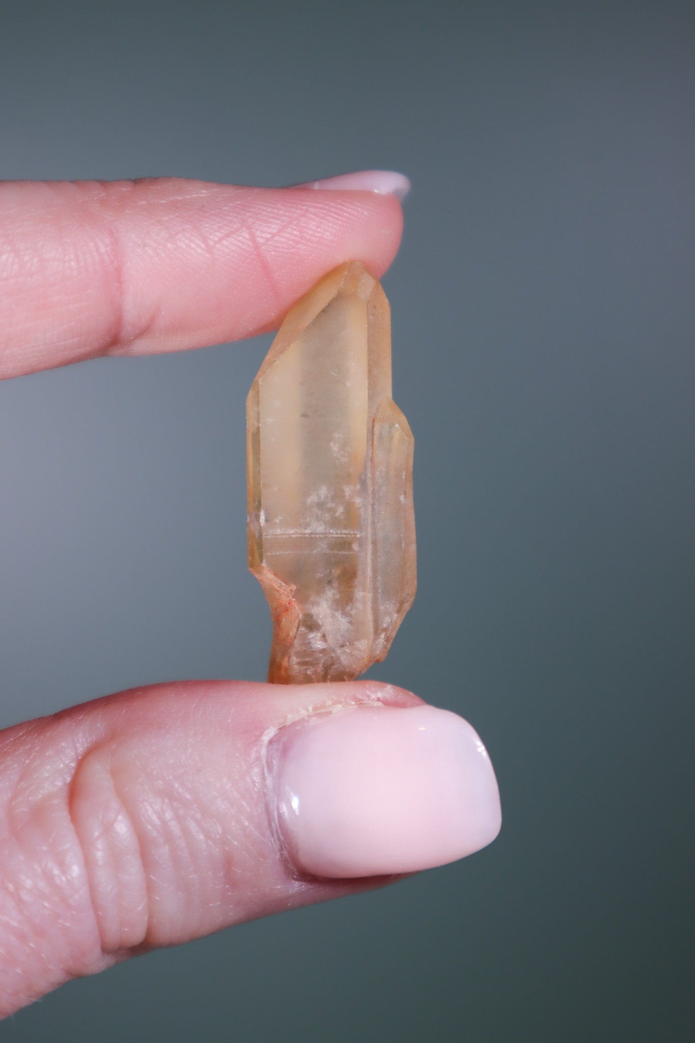 Citrine Points (Natural) Points Tali & Loz Crystals