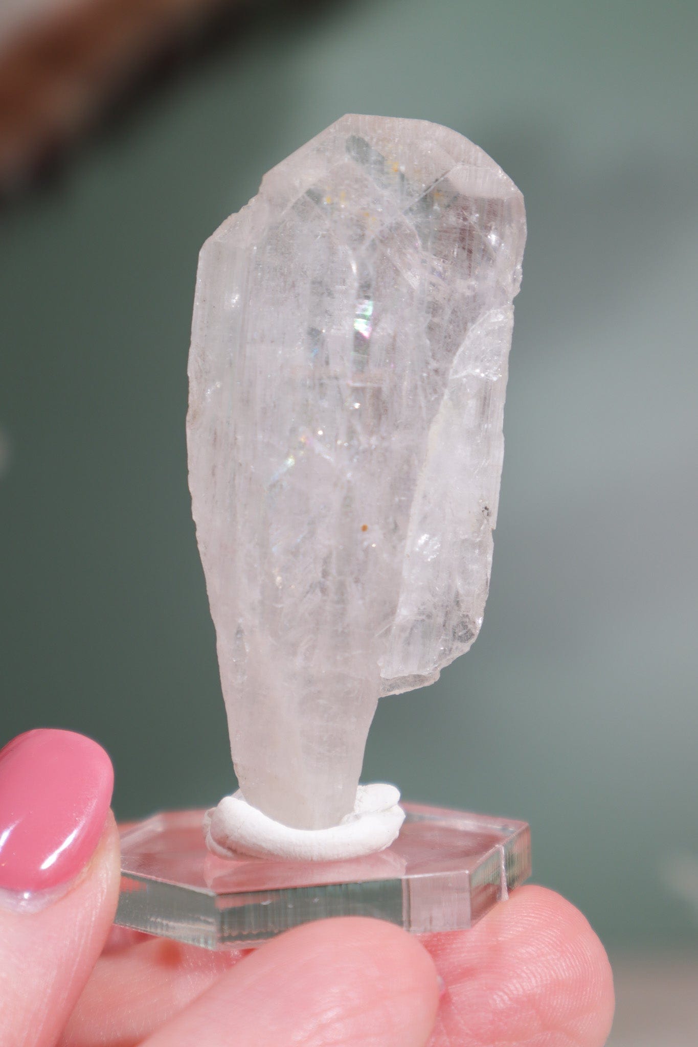Clear Danburite Specimen 16.1gr - Tali & Loz Crystals