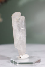 Clear Danburite Specimen 16.1gr - Tali & Loz Crystals