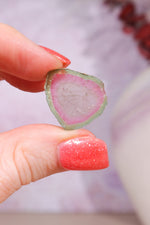 Clear Watermelon Tourmaline Slice 3gr | Brazil Slices Tali & Loz Crystals