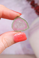 Clear Watermelon Tourmaline Slice 3gr | Brazil Slices Tali & Loz Crystals
