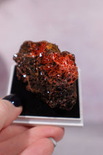 Crocoite Specimen, Australia 5.5x3cm, Sold As Seen Tali & Loz Crystals